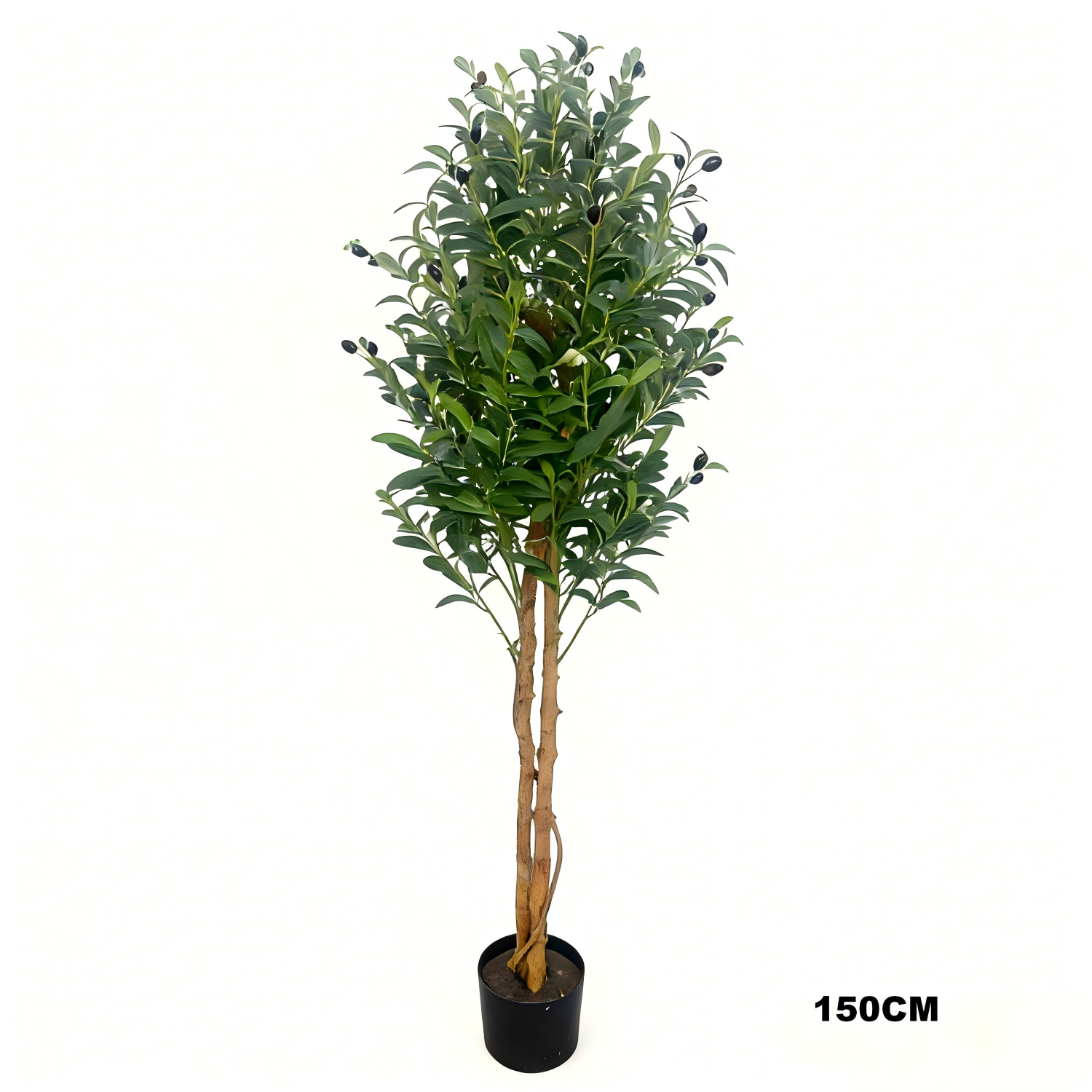 Olive Tree(real trunk 2.0)
